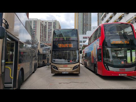 [趕唔切影開車前嘅頭位]九巴Enviro500 ATENU672 TP6099(路線81)禾輋-佐敦西九龍站