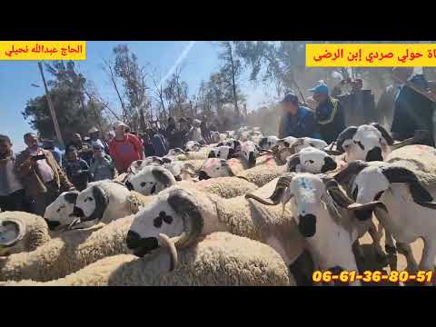 بوووووم فيديو الموسم 20 سبير من أصل 84 الحج عبدالله نحيلي ختامه مسك من تجمع حد بو موسى مستمرووون