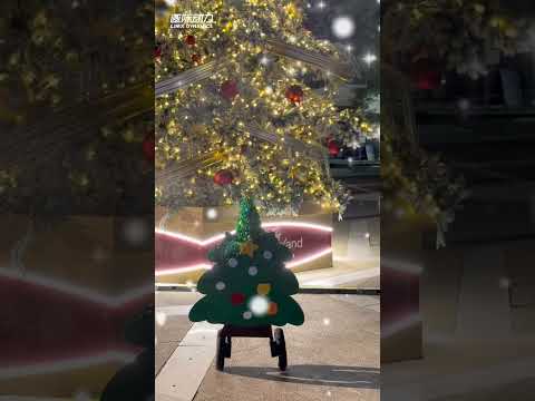 What you want for Christmas?