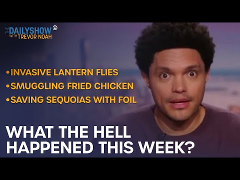 What the Hell Happened This Week? - Week of 9/20/21 | The Daily Show