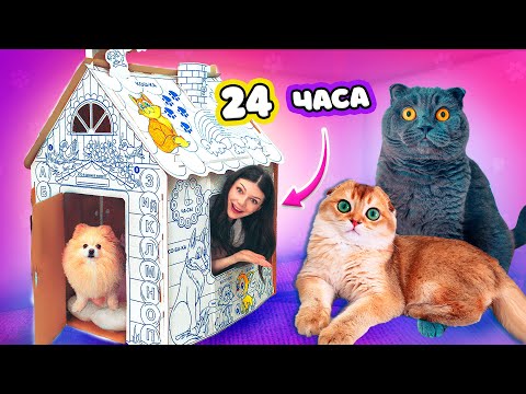 24 HOURS in a CARDBOARD HOUSE with PETS | Butters the Cat