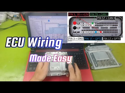 How to Accurately Find ECU Wiring Diagrams | Beginner’s Guide to Car ECU Repair. #ecurepair