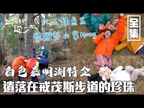 One-Day Hike Through Taiwan’s Magical Forest Trail｜MAX’s Mountain Feast at Jiaming Lake