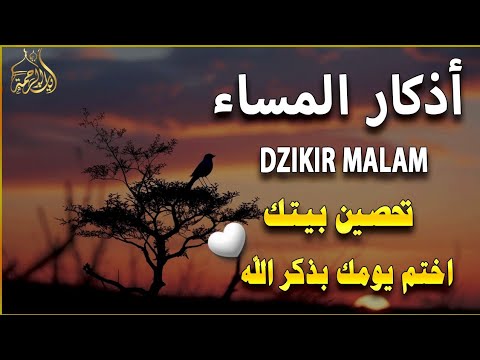 اذكار المساء راحة وسكينة لقلبك تحصن بيتك وأهلك Dzikir Malam Evening azkar By Alaa Aqel
