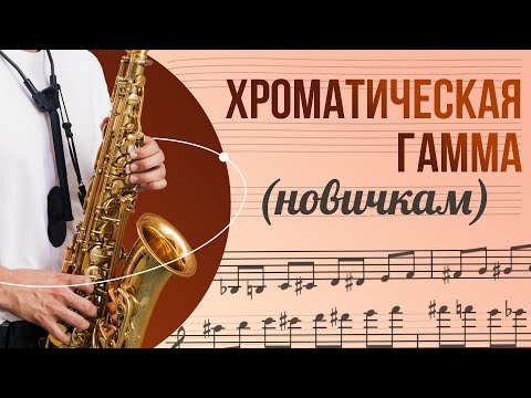 🎷🎶ХРОМАТИЧЕСКАЯ ГАММА | Новичкам | Как играть и не путаться? База, без которой дальше сложно