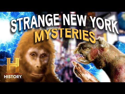 Monsters & UFOs INFILTRATE New York City | The Proof Is Out There
