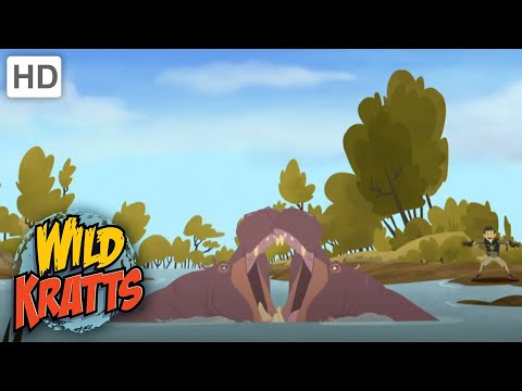 Wild Kratts | Race for the Hippo Disc | Full Episode | Season 2