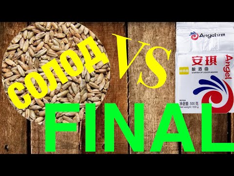 Which is better - malt or yeasts KODZY