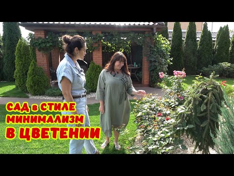 ИДЕАЛЬНО - СТРОГИЙ САД. Виноград созрел! Гортензии распустились! Сдержанность и пару ярких пятен 👌