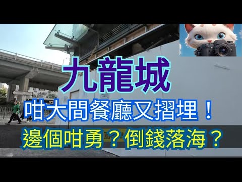 九龍城，咁大間餐廳又摺埋！新租客咁勇？倒錢落海？！#街拍 [14012025]