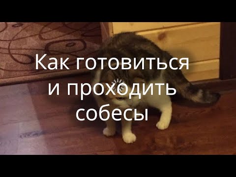 Советы как проходить и готовиться к собесам.
