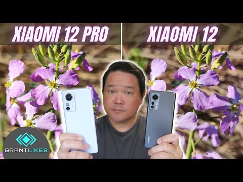 Xiaomi 12 vs Xiaomi 12 Pro Camera Test | 50MP cameras + different sensors = same result?
