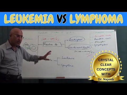 Difference Between Leukemia vs Lymphoma🩺