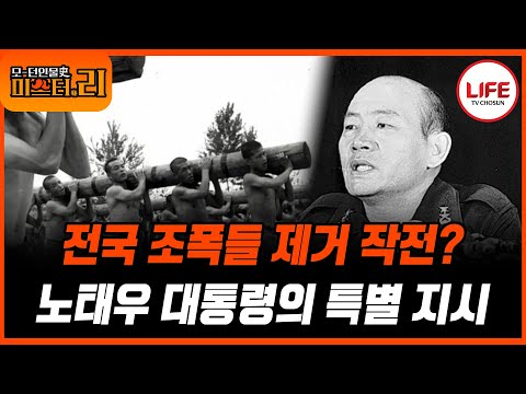 [#모던인물사미스터리] (1시간) 대한민국 전체를 휩쓴 조직폭력배들, 긴장감 가득했던 그때 그 시절 (TV CHOSUN 250608 방송)