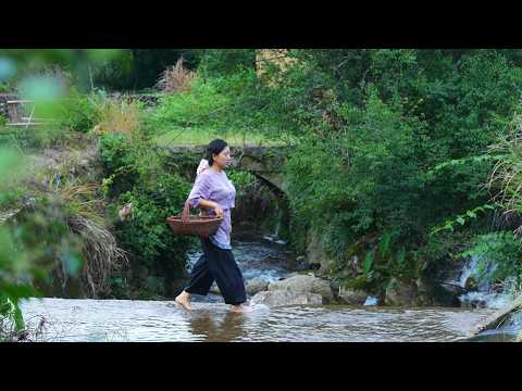 It's green plum season again!Pick them to make wine,jam,and green plum ribs,it's so fragrant~Shendan