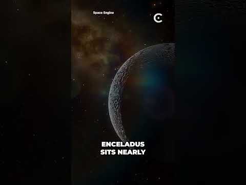 Cassini found water on Saturn's moon, Enceladus.