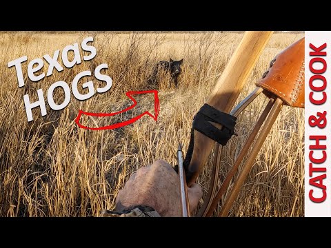 Bowhunting TEXAS HOGS - Spot and Stalk CATCH & COOK