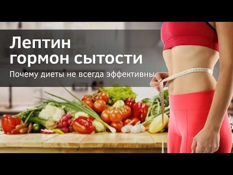 Лептин - гормон сытости и лишнего веса. Почему диеты не помогают.