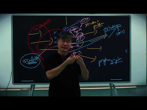 Game Theory #20:  Mid-Term Examination