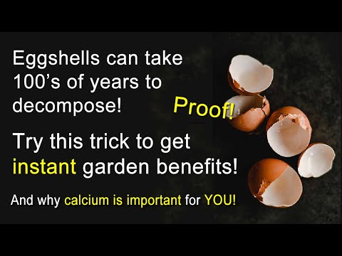 How to unlock the potential of eggshells in your garden!