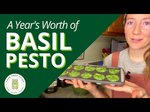 How to Make & Preserve PESTO That Stays VIBRANT Green