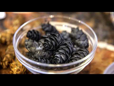 What is ‘the best’ biochar?