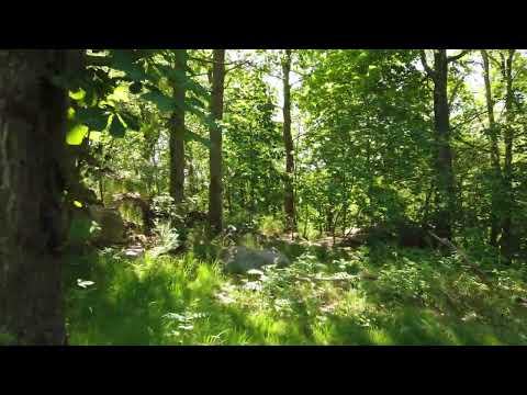 How do I know how complex the job is?