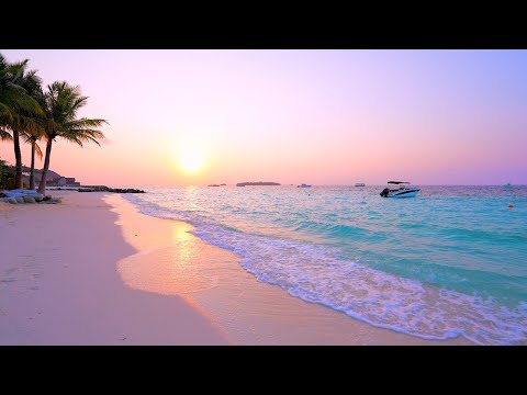 ๐ Beach View: 12 Hours of Maldives Ambience & Soft Ocean Sounds