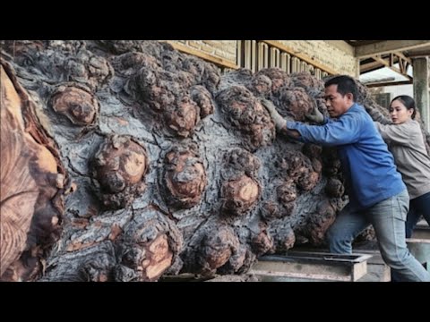 The monster log sawmill terrible full of beauty