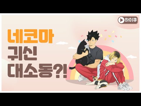 [풀버전] 하이큐-켄마의 푸딩머리 이야기