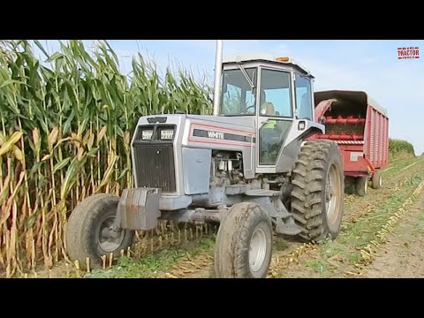 WHITE 120 Tractor Harvesting Corn