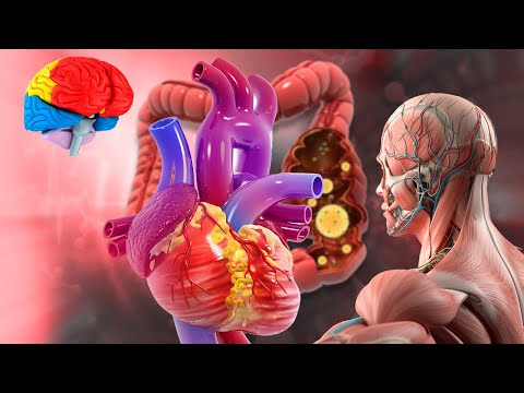 [The Body Regenerates After 5 Minutes] 🦴️ Healing with 432Hz + 528Hz Sound Therapy + Alpha Waves