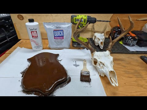 DIY European Mount: Boiling, Bleaching, Mounting