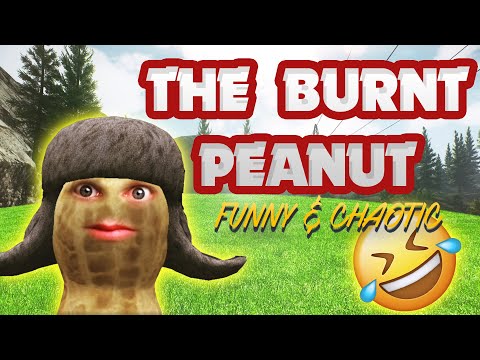 TheBurntPeanut Funny & Chaotic