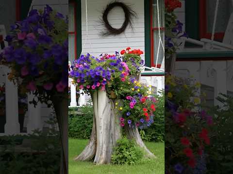 Te desejo um dia tão florido e especial quanto este jardim! 🌸✨