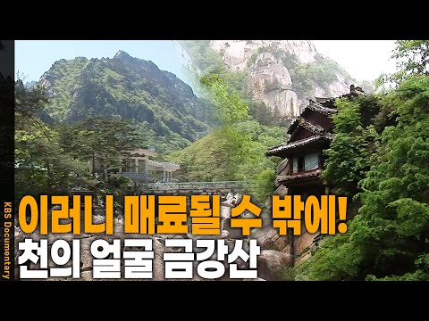 Filming the four seasons of Mt. Geumgang, a place with a different appearance throughout the year...