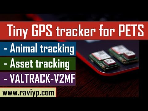 Super Tiny long life GPS tracker for PETS and Asset tracking -  VALTRACK-V2MF