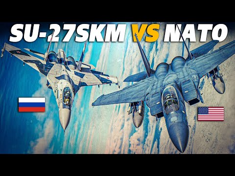 Su-27 SKM Flanker-B  VS Nato Aircraft | DOGFIGHT | Digital Combat Simulator | DCS |