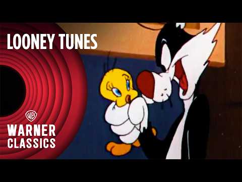 Looney Tunes | Sylvester & Tweety Mega Compilation | Vol. 6 | Warner Classics