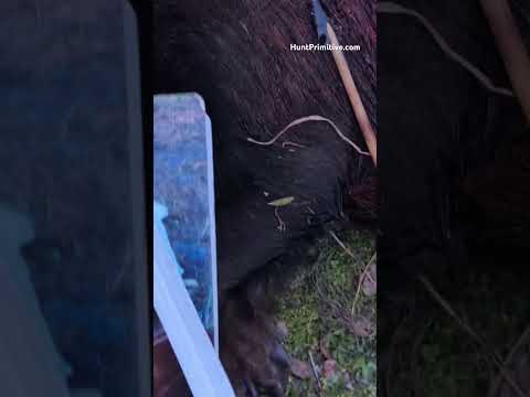 Primitive Hunting &amp; Building / The Secrets and Science will get you there!