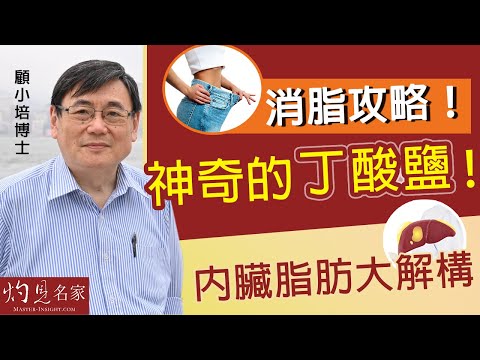 【字幕】顧小培博士：消脂攻略！神奇的丁酸鹽！內臟脂肪大解構 《預防勝於治療》（2022-07-17）