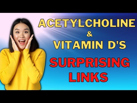 The Surprising Link Between Vitamin D and Your Sleep Neurotransmitter Acetylcholine