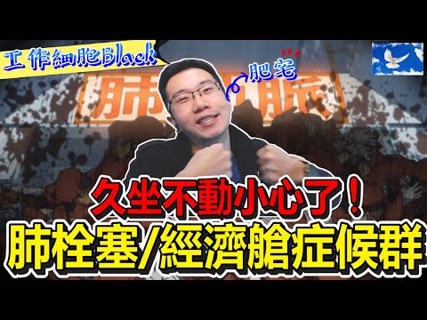 【肺栓塞】肥宅連打電動三天三夜卻喪命 這是他體內的變化 [經濟艙症候群] | 工作細胞Black解析 | 蒼藍鴿評評理EP43