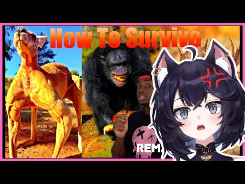SURVIVAL GUIDE | How to Not Get Unsubscribed from Life by Animals | Saphwyn Reacts