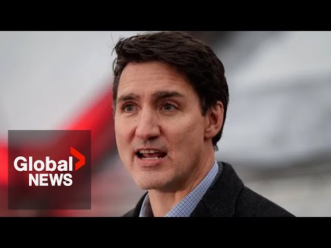 Trudeau defiant in face of calls to step down as PM