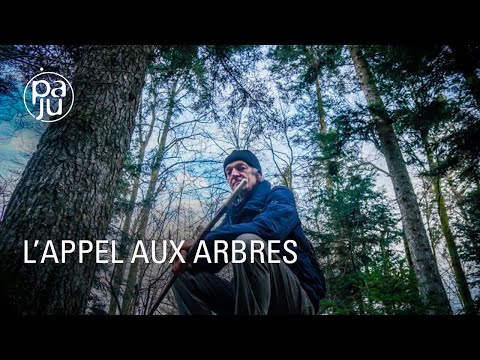 Les liens mystérieux qui unissent l’arbre et l’homme vus par un chercheur atypique
