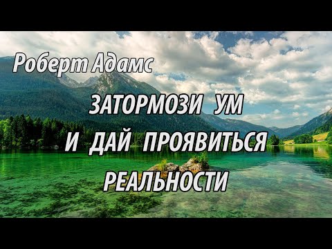 Затормози ум и дай проявиться реальности (Роберт Адамс.НикОшо)