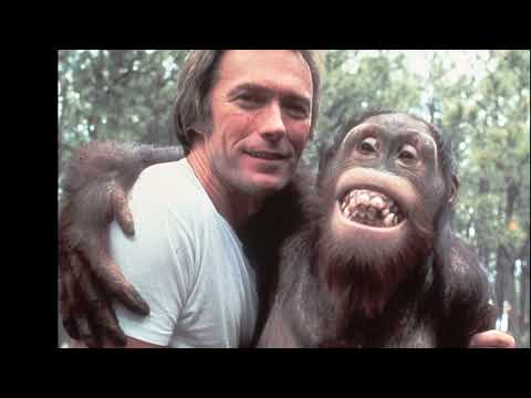 Brie Larson, Tom Hiddleston, Samuel L. Jackson On The One Show [01.03.2017]