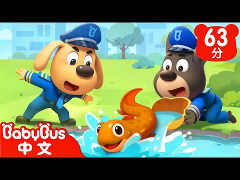 【新劇集】神奇的肺魚 | 車車 | 動畫 | Kids Cartoon | 安全教育 | 安全警長啦咘啦哆 | 寶寶巴士 BabyBus