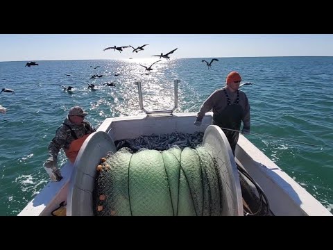 Fishing On The F/V Capt Hubert